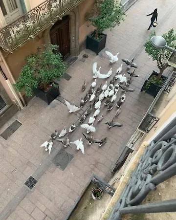 Bartissol Et Maillol ホームステイ ペルピニャン