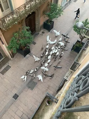 Bartissol Et Maillol Alloggio in famiglia Perpignano